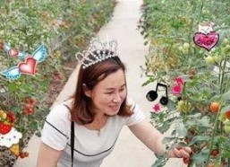 甜甜的娱乐吃瓜,揭秘娱乐圈最新吃瓜大事件