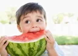 娱乐吃瓜酱好奇心路历程,揭秘好奇心驱动的探秘之旅