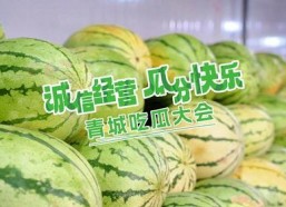 吃瓜大会,揭秘娱乐圈幕后故事与热点事件