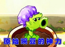 娱乐吃瓜酱豌豆射手,揭秘娱乐圈那些不为人知的幕后故事